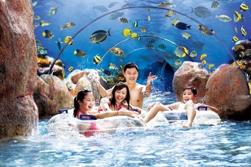Khu vui chơi giải trí Adventure Cove Waterpark ở Singapore