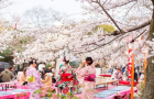 Tại sao Nhật Bản thu hút đông đảo khách du lịch?