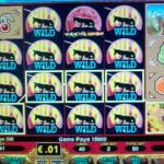 Lucky Bird Casino: ¡Revise 2024 Ranura royal win y bono carente depósito 50FS!