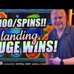 Casino Sail Comment 2024 Put Extra 2 hundred Free Revolves!